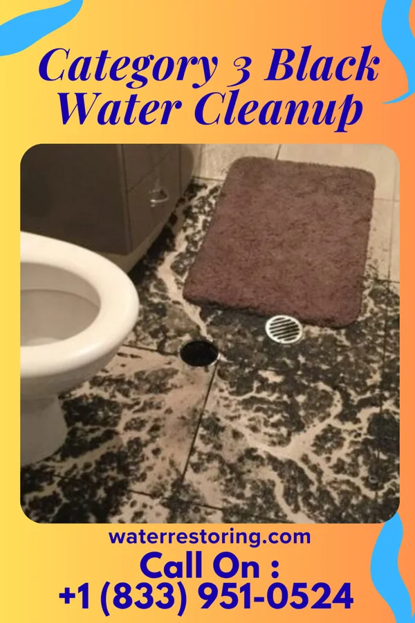 Category 3 Black Water Cleanup in Fairfield, OK
